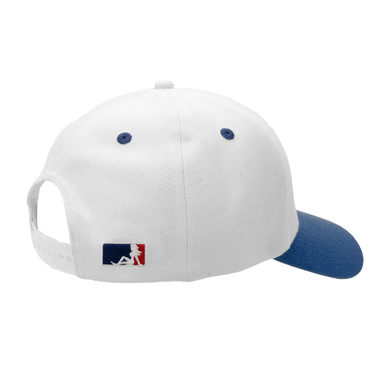 Political Campaign 6-Panel - - MILFDAD