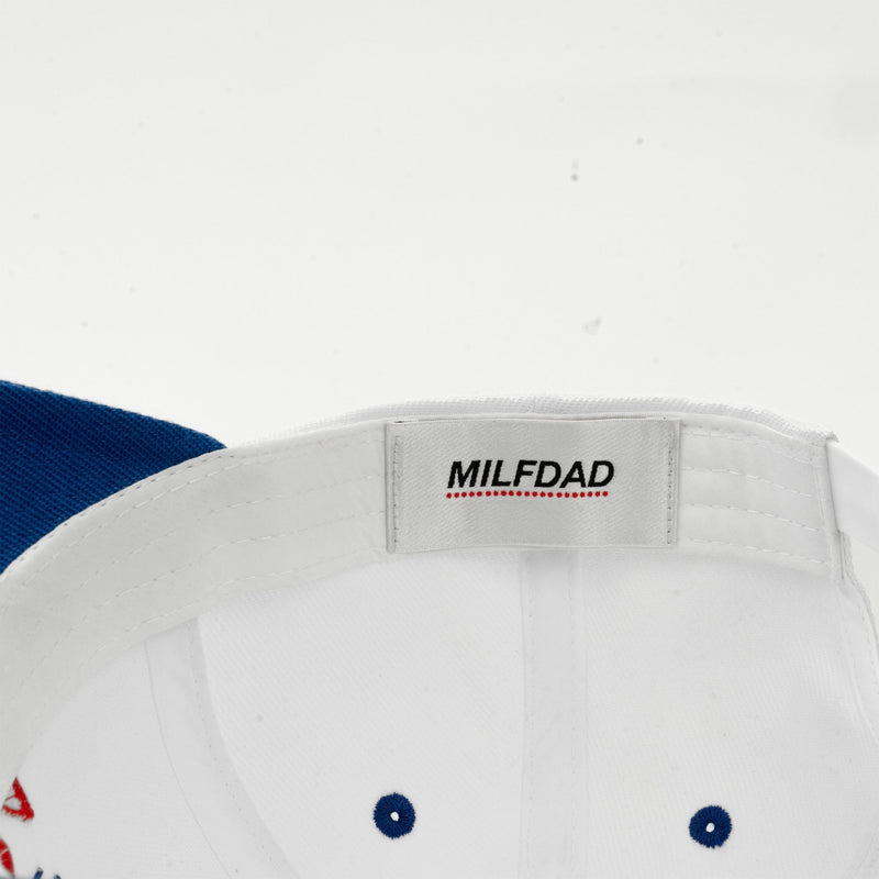 Political Campaign 6-Panel - - MILFDAD